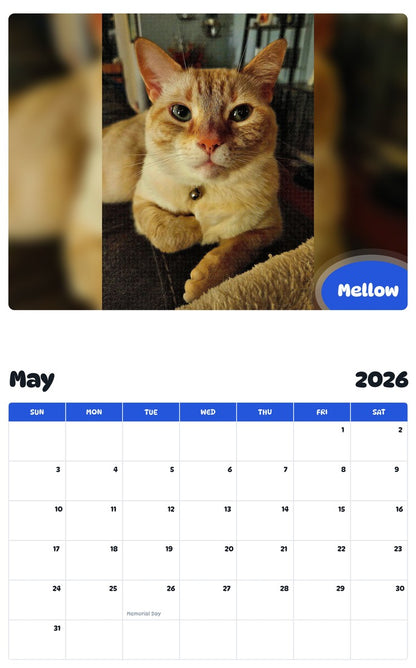 2026 - 2027 Mellow - Pawidols Pet Calendar