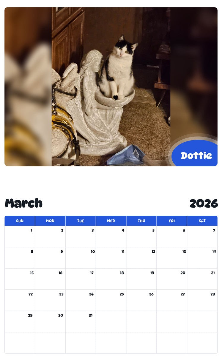 November 2025 - October 2026 Dottie - Pawidols Pet Calendar