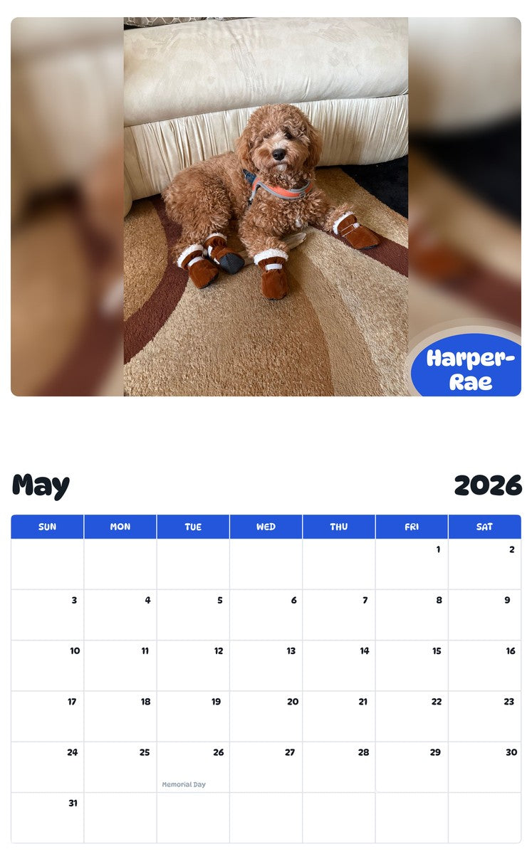 2026 - 2027 Harper-Rae - Pawidols Pet Calendar