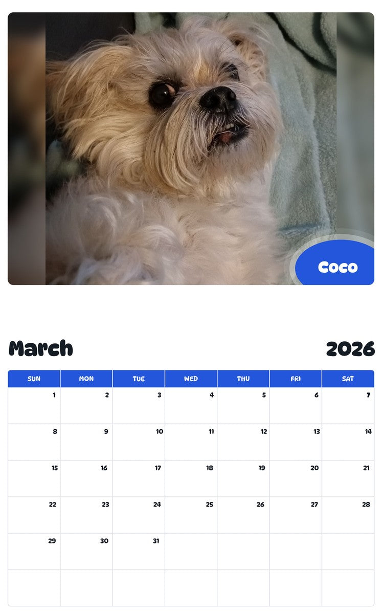 November 2025 - October 2026 Coco - Pawidols Pet Calendar