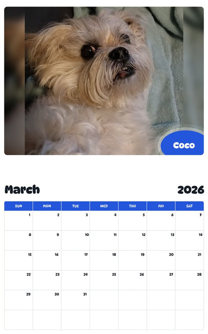 November 2025 - October 2026 Coco - Pawidols Pet Calendar