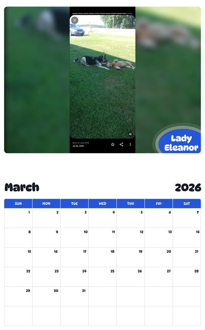 November 2025 - October 2026 Lady Eleanor - Pawidols Pet Calendar