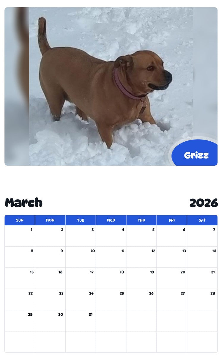 November 2025 - October 2026 Grizz - Pawidols Pet Calendar