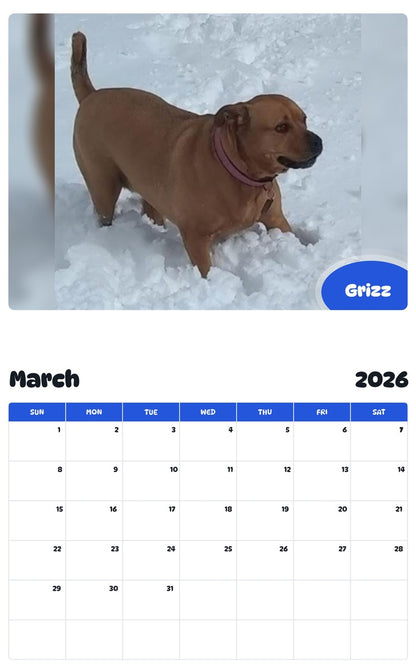 November 2025 - October 2026 Grizz - Pawidols Pet Calendar