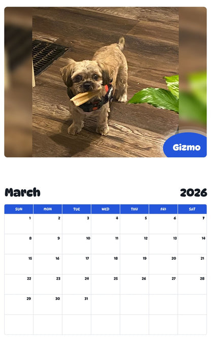 November 2025 - October 2026 Gizmo - Pawidols Pet Calendar