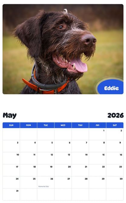 2026 - 2027 Eddie - Pawidols Pet Calendar