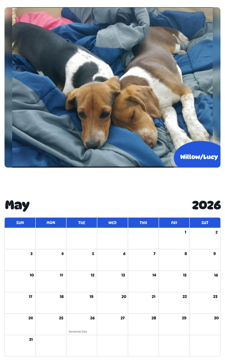 2026 - 2027 Willow/Lucy - Pawidols Pet Calendar