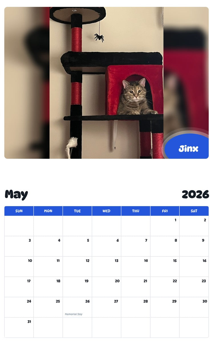 2026 - 2027 Jinx - Pawidols Pet Calendar