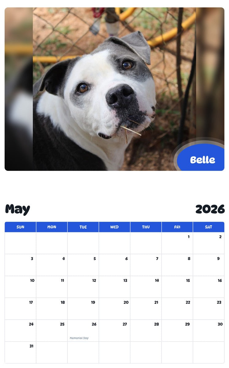 2026 - 2027 Belle - Pawidols Pet Calendar