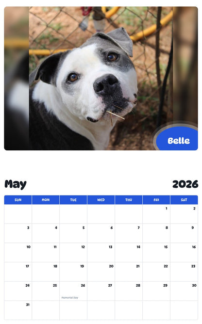 2026 - 2027 Belle - Pawidols Pet Calendar