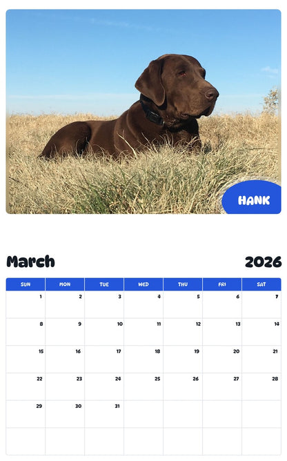November 2025 - October 2026 HANK - Pawidols Pet Calendar