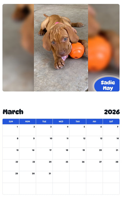 November 2025 - October 2026 Sadie May - Pawidols Pet Calendar