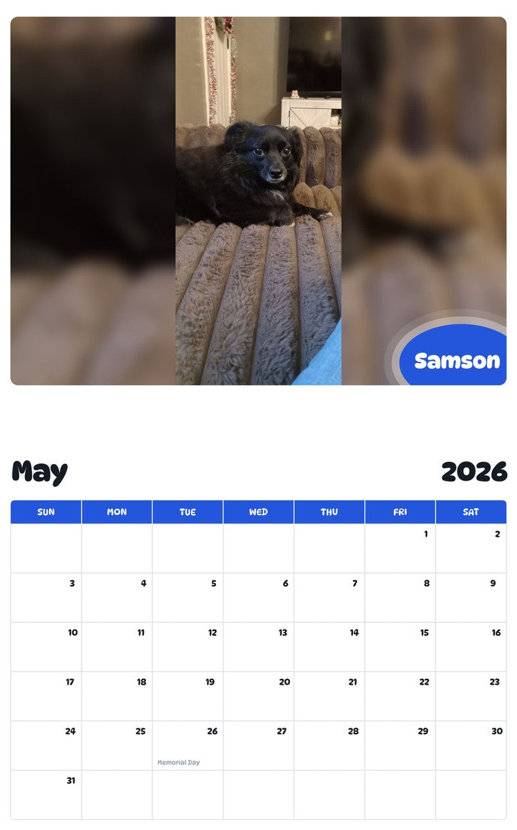 2026 - 2027 Samson - Pawidols Pet Calendar