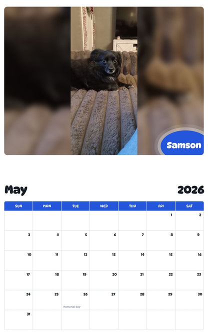 2026 - 2027 Samson - Pawidols Pet Calendar