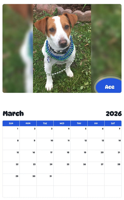 November 2025 - October 2026 Ace - Pawidols Pet Calendar