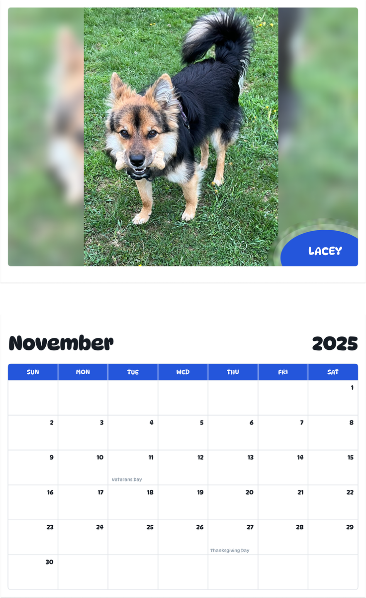 July 2025 - June 2026 Lacey - Pawidols Pet Calendar