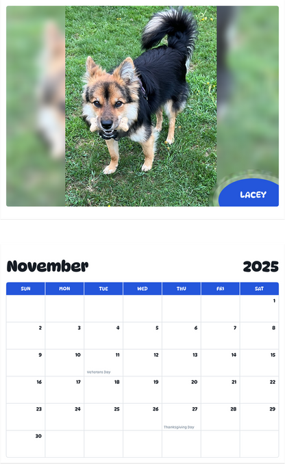 July 2025 - June 2026 Lacey - Pawidols Pet Calendar