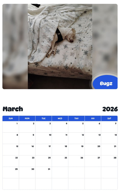 November 2025 - October 2026 Bugz - Pawidols Pet Calendar