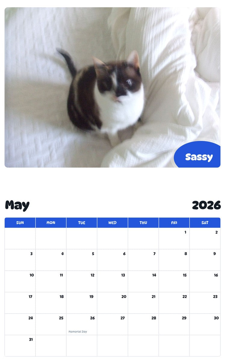 2026 - 2027 Sassy - Pawidols Pet Calendar