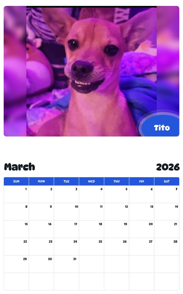 November 2025 - October 2026 Tito - Pawidols Pet Calendar