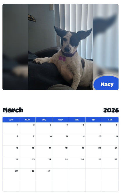 November 2025 - October 2026 Macy - Pawidols Pet Calendar