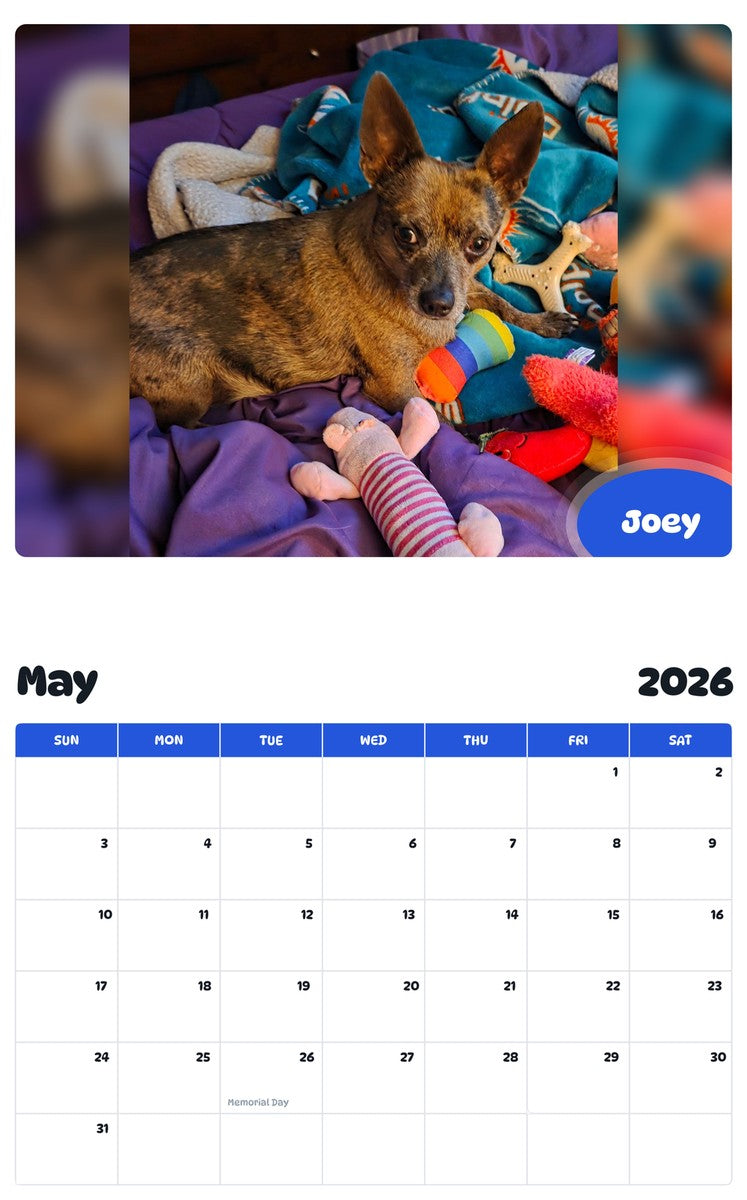 2026 - 2027 Joey - Pawidols Pet Calendar