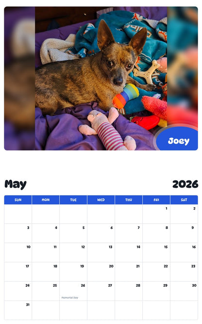2026 - 2027 Joey - Pawidols Pet Calendar