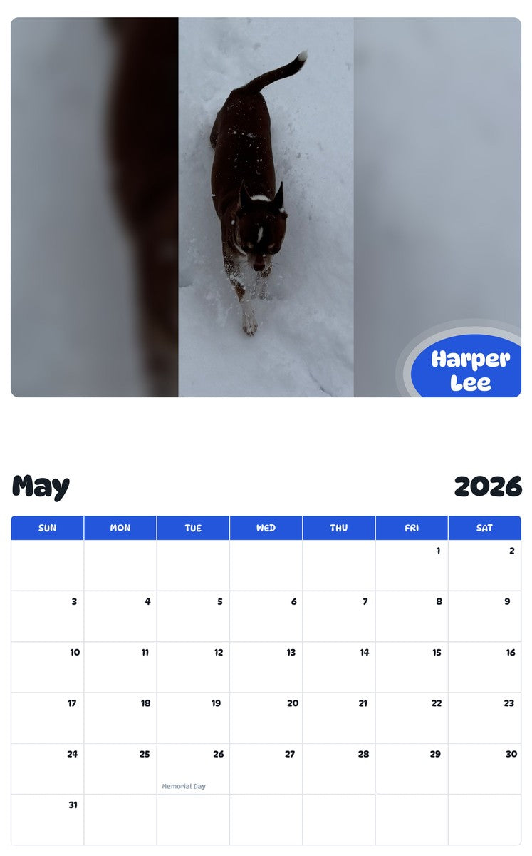 2026 - 2027 Harper Lee - Pawidols Pet Calendar