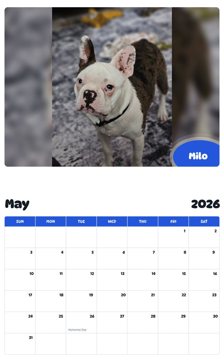 2026 - 2027 Milo - Pawidols Pet Calendar