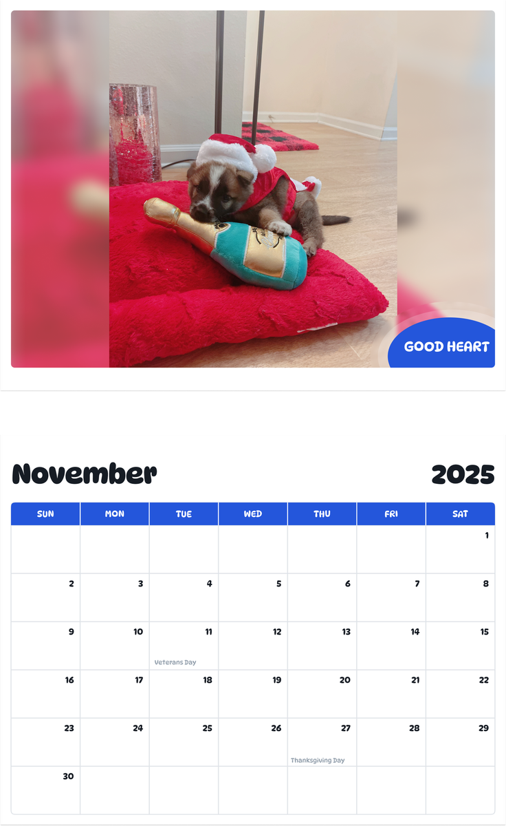 July 2025 - June 2026 Good heart - Pawidols Pet Calendar