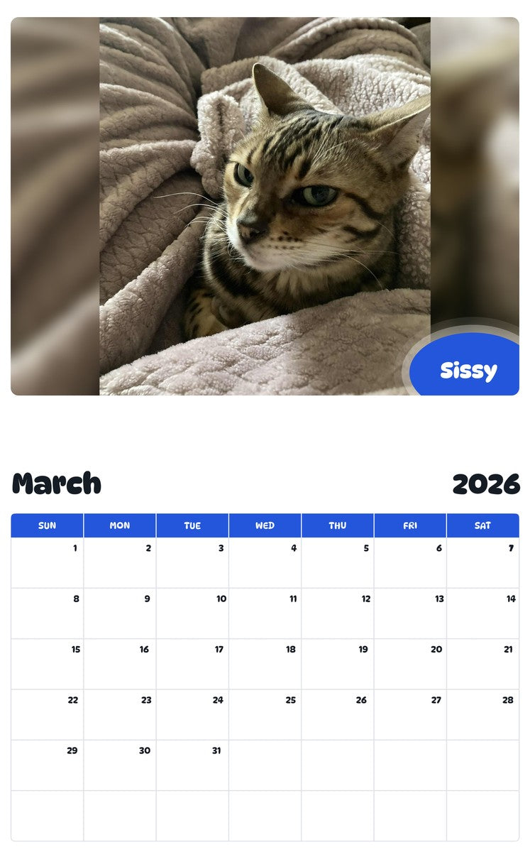 November 2025 - October 2026 Sissy - Pawidols Pet Calendar
