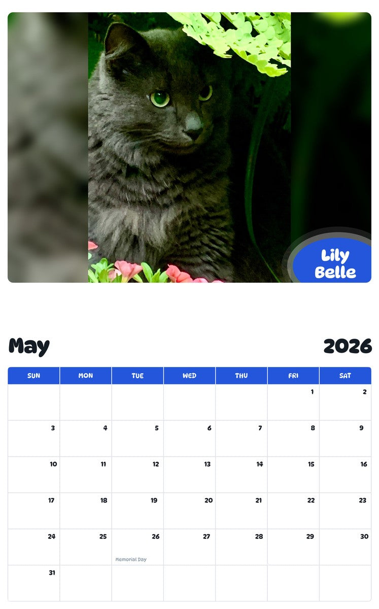 2026 - 2027 Lily Belle - Pawidols Pet Calendar