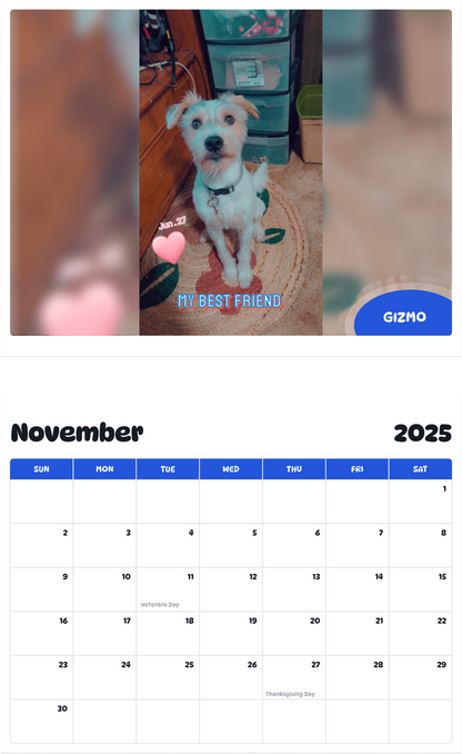 July 2025 - June 2026 Gizmo - Pawidols Pet Calendar
