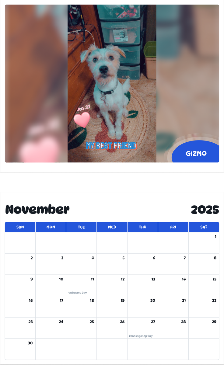 July 2025 - June 2026 Gizmo - Pawidols Pet Calendar