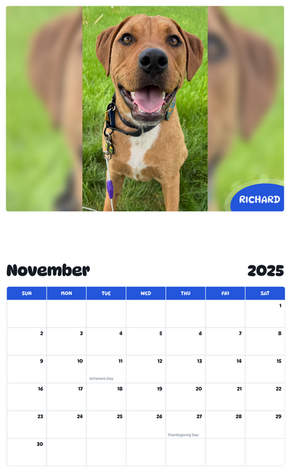 July 2025 - June 2026 Richard - Pawidols Pet Calendar