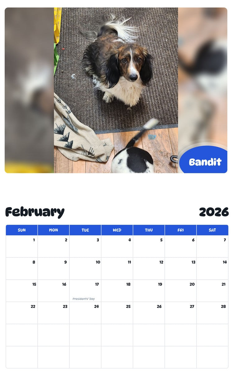 October 2025 - September 2026 Bandit - Pawidols Pet Calendar