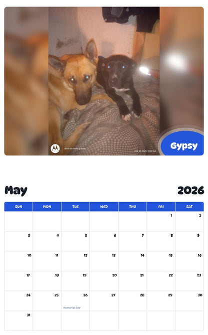 2026 - 2027 Gypsy - Pawidols Pet Calendar