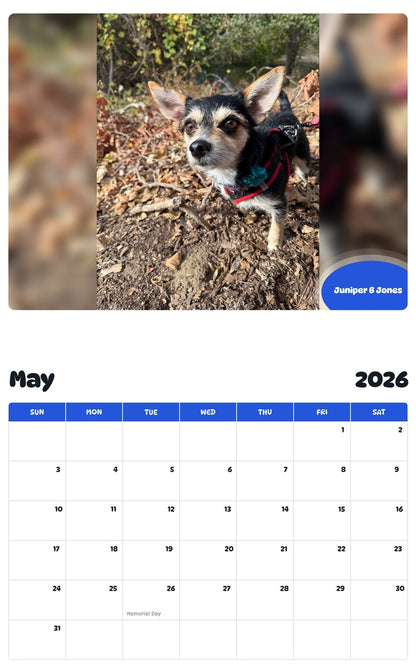 2026 - 2027 Juniper B Jones - Pawidols Pet Calendar