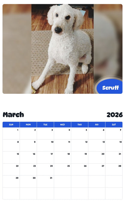 November 2025 - October 2026 Scruff - Pawidols Pet Calendar