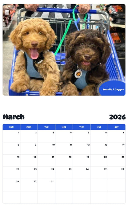 November 2025 - October 2026 Freddie & Jagger - Pawidols Pet Calendar