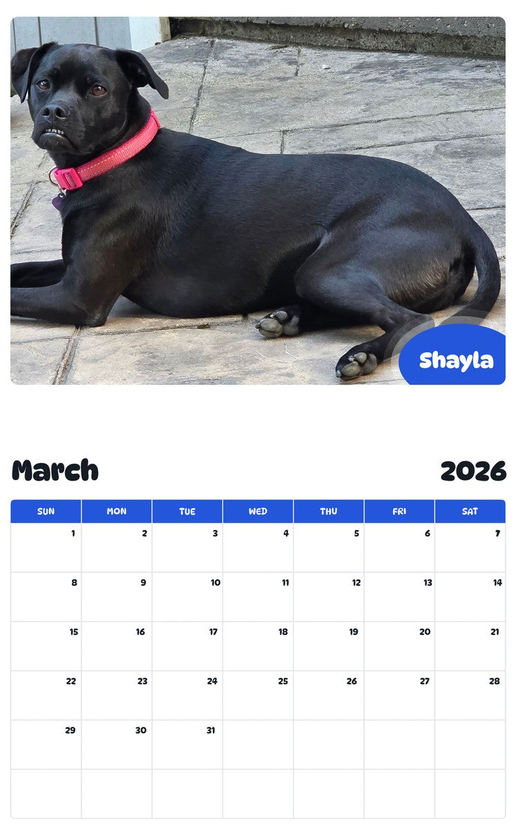 November 2025 - October 2026 Shayla - Pawidols Pet Calendar