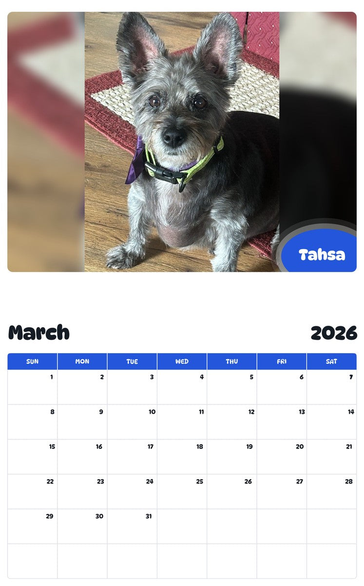 November 2025 - October 2026 Tahsa - Pawidols Pet Calendar