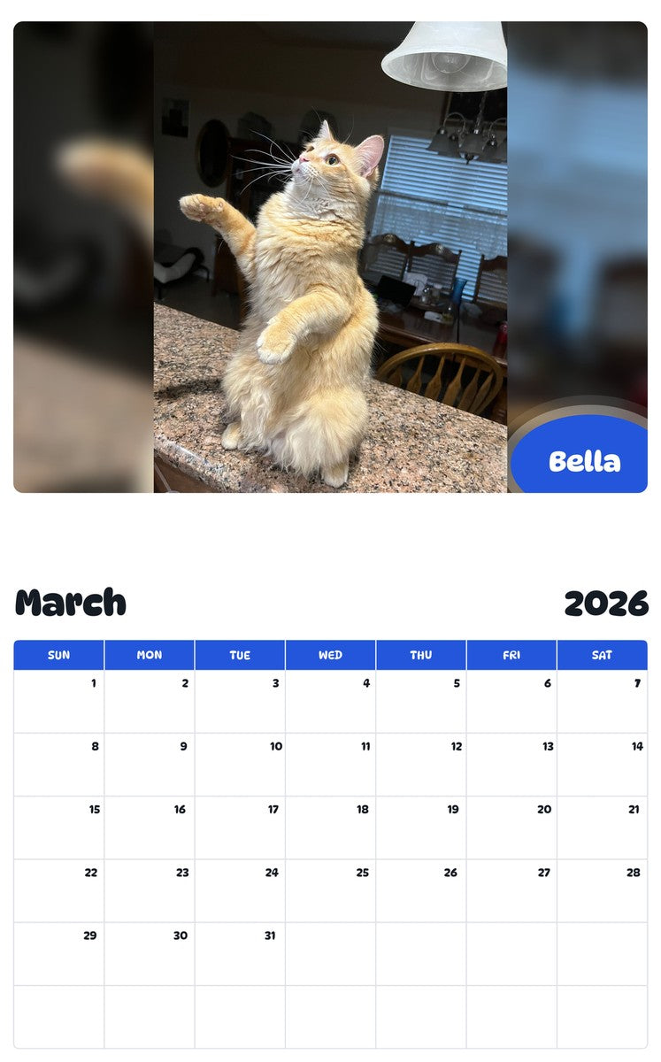 November 2025 - October 2026 Bella - Pawidols Pet Calendar