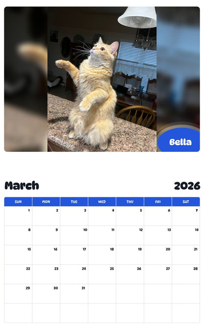 November 2025 - October 2026 Bella - Pawidols Pet Calendar