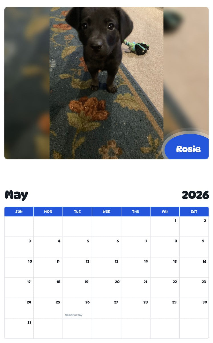 2026 - 2027 Rosie - Pawidols Pet Calendar