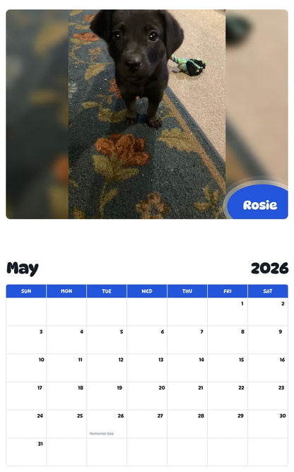 2026 - 2027 Rosie - Pawidols Pet Calendar