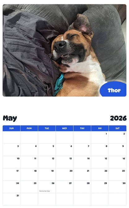2026 - 2027 Thor - Pawidols Pet Calendar