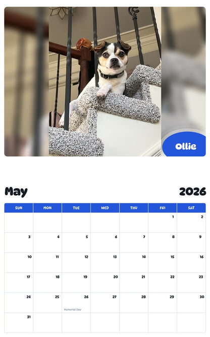 2026 - 2027 Ollie - Pawidols Pet Calendar