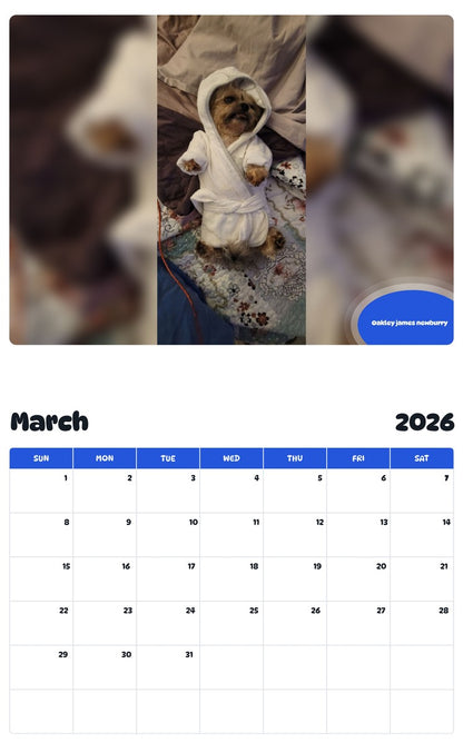 November 2025 - October 2026 Oakley james newburry - Pawidols Pet Calendar