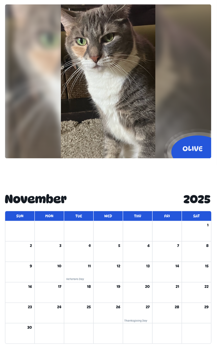 July 2025 - June 2026 Olive - Pawidols Pet Calendar